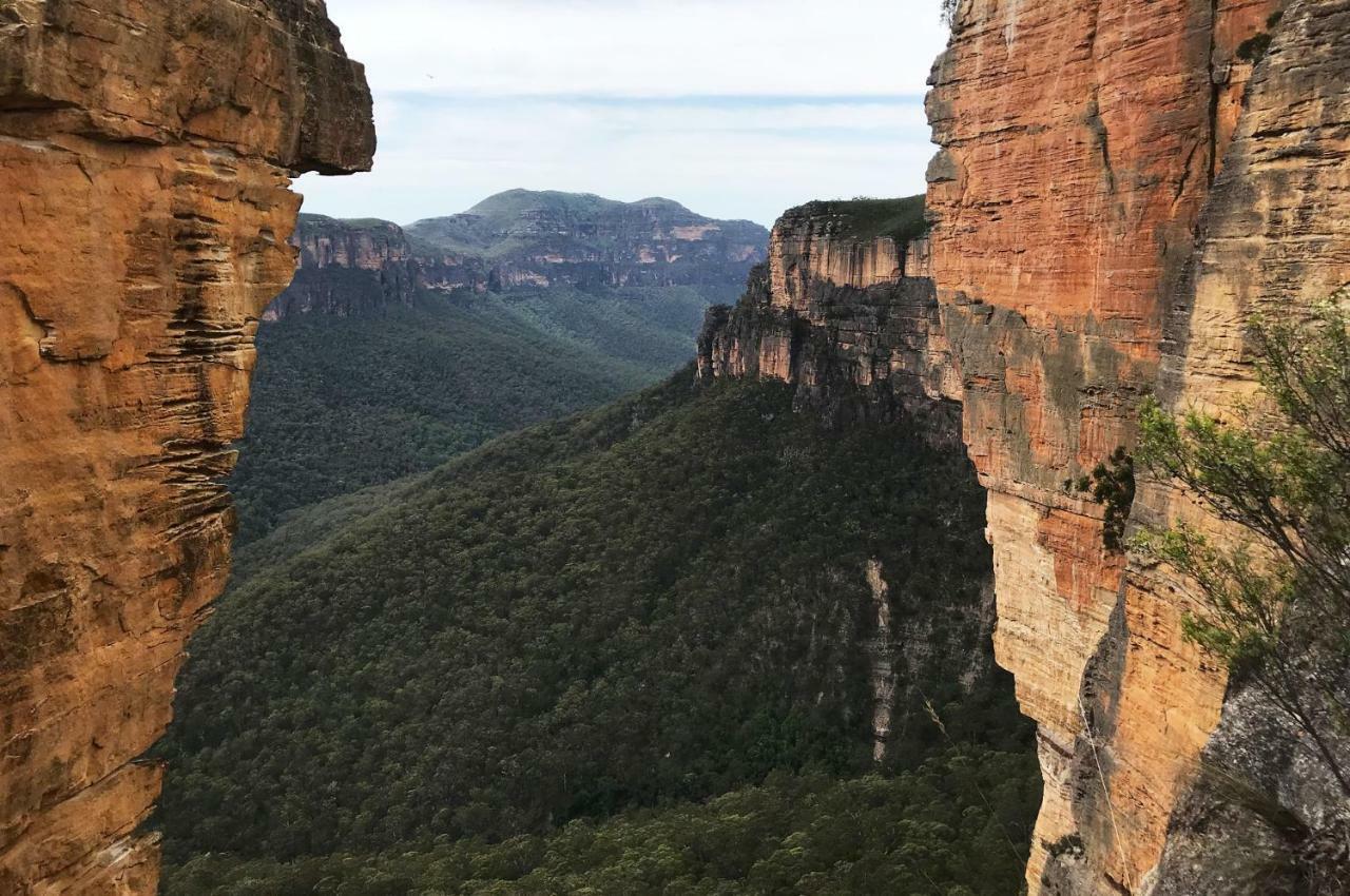 Ribbon Gum Lodge Катумба Экстерьер фото